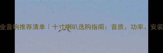 图片 舞台专业音响推荐清单｜十寸喇叭选购指南：音质、功率、安装技巧全