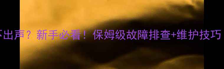 图片 舞台监听音箱不出声？新手必看！保姆级故障排查+维护技巧（附图解教程）