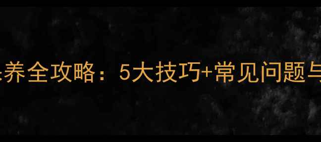 图片 舞台音响保养全攻略：5大技巧+常见问题与解决方案1
