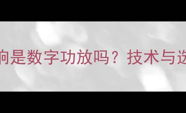 图片 舞台音响是数字功放吗？技术与选购指南