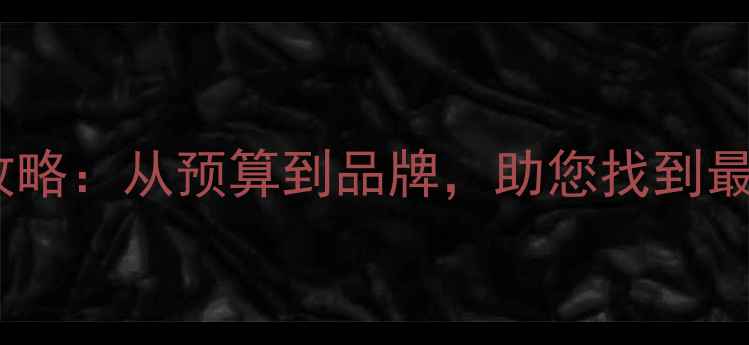 图片 舞台音响选购全攻略：从预算到品牌，助您找到最适合的演出设备2