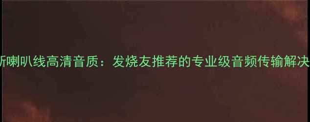 图片 艺康斯喇叭线高清音质：发烧友推荐的专业级音频传输解决方案1