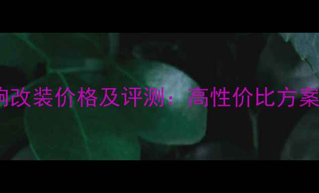 图片 芬朗汽车音响改装价格及评测：高性价比方案与避坑指南1