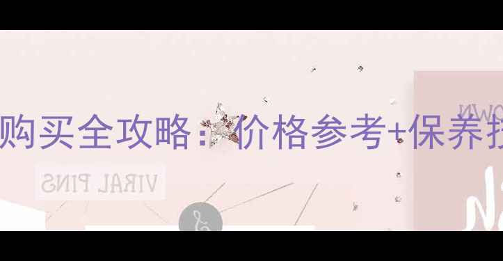 图片 英国之宝二手音箱购买全攻略：价格参考+保养技巧+高性价比推荐
