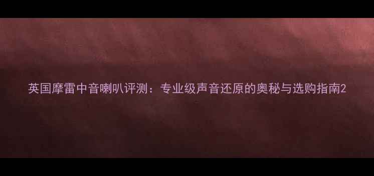 图片 英国摩雷中音喇叭评测：专业级声音还原的奥秘与选购指南2