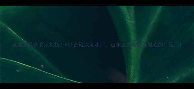 图片 英国黑胶音响天花板！AE1音箱深度测评：百年工艺如何征服我的耳朵🔥1