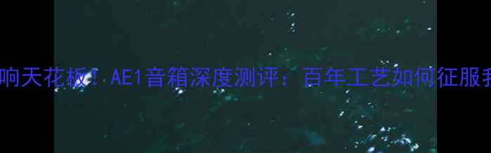 图片 英国黑胶音响天花板！AE1音箱深度测评：百年工艺如何征服我的耳朵🔥2