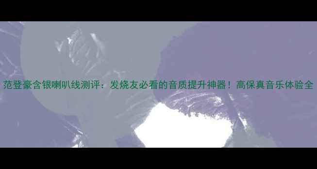 图片 范登豪含银喇叭线测评：发烧友必看的音质提升神器！高保真音乐体验全