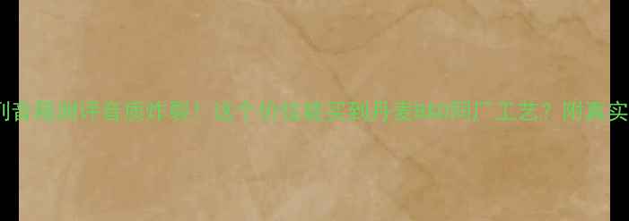 图片 荷兰卡玛CE系列音箱测评音质炸裂！这个价位能买到丹麦B&O同厂工艺？附真实听感+选购攻略