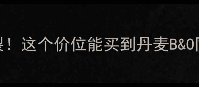 图片 荷兰卡玛CE系列音箱测评音质炸裂！这个价位能买到丹麦B&O同厂工艺？附真实听感+选购攻略2