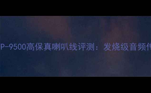 图片 荷兰范登豪HDP-9500高保真喇叭线评测：发烧级音频传输技术深度2