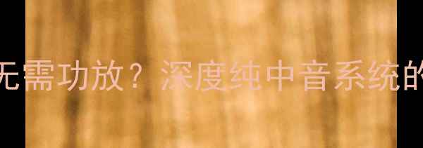 图片 被动中音扬声器无需功放？深度纯中音系统的搭建与调校技巧