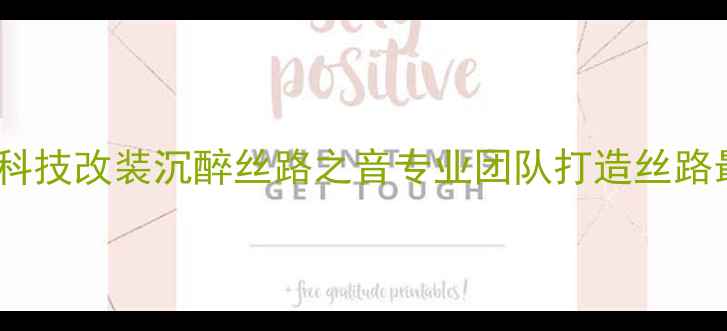 图片 西安领声汽车音响｜沉浸式黑科技改装沉醉丝路之音专业团队打造丝路最牛车载音响深度改装全流程1