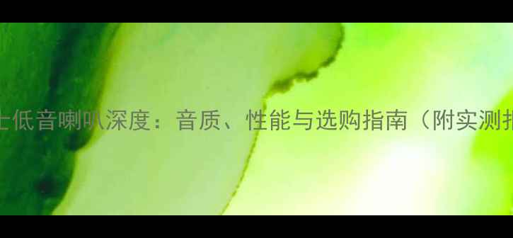 图片 西雅士低音喇叭深度：音质、性能与选购指南（附实测报告）