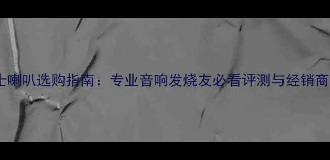 图片 西雅士喇叭选购指南：专业音响发烧友必看评测与经销商推荐1