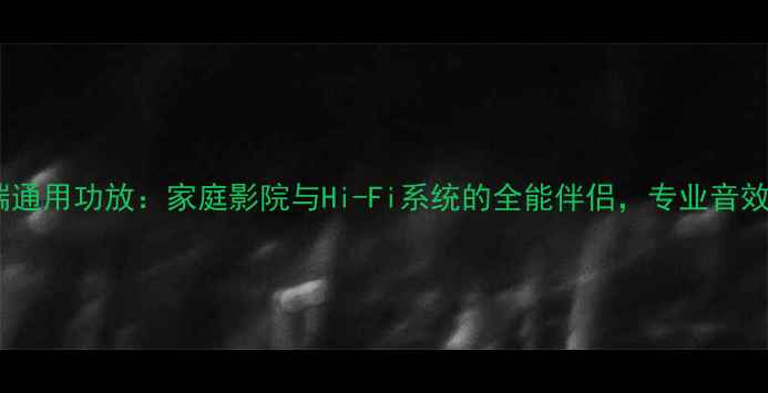 图片 贝塔斯瑞通用功放：家庭影院与Hi-Fi系统的全能伴侣，专业音效的秘密2