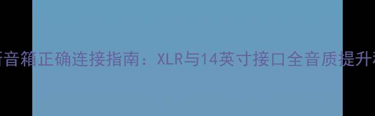 图片 贝斯音箱正确连接指南：XLR与14英寸接口全音质提升秘籍