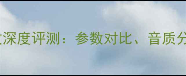图片 贵丰VSMBL功放深度评测：参数对比、音质分析与选购指南