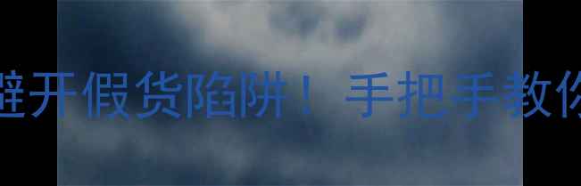 图片 赫兹喇叭鉴别全攻略｜3步教你避开假货陷阱！手把手教你辨别真假（附品牌验真指南）1