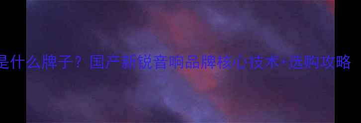 图片 超全SEER喇叭是什么牌子？国产新锐音响品牌核心技术+选购攻略（附避坑指南）