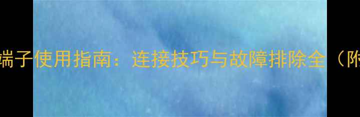 图片 车载功放RCA端子使用指南：连接技巧与故障排除全（附选购攻略）1