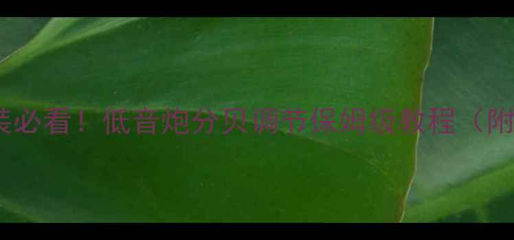 图片 车载音响改装必看！低音炮分贝调节保姆级教程（附实测数据）2
