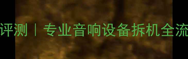 图片 达萧108功放拆解评测｜专业音响设备拆机全流程+性能实测报告