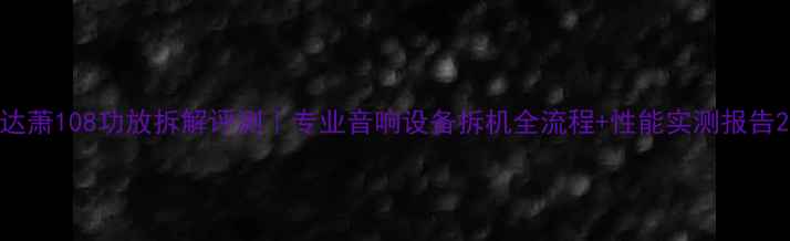 图片 达萧108功放拆解评测｜专业音响设备拆机全流程+性能实测报告2