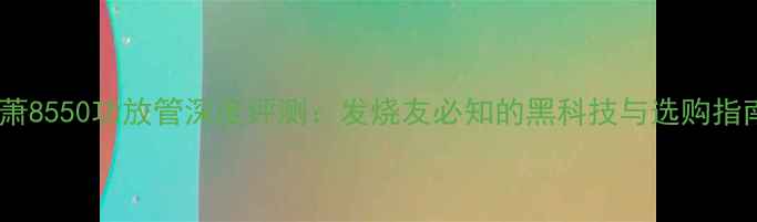 图片 达萧8550功放管深度评测：发烧友必知的黑科技与选购指南2