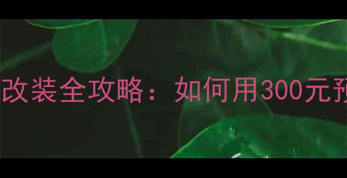 图片 迈锐宝原厂高音喇叭改装全攻略：如何用300元预算实现音质飞跃？1