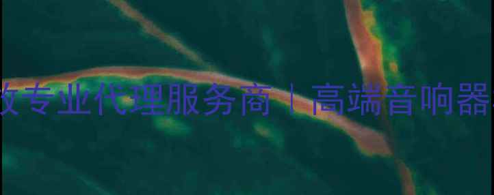 图片 重庆皇冠功放专业代理服务商｜高端音响器材批发零售1