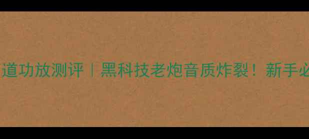图片 金嗓子甲类单声道功放测评｜黑科技老炮音质炸裂！新手必入黑科技音响2