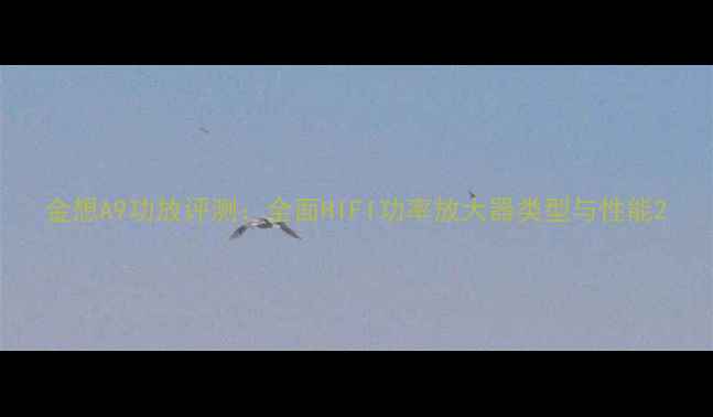 图片 金想A9功放评测：全面HIFI功率放大器类型与性能2