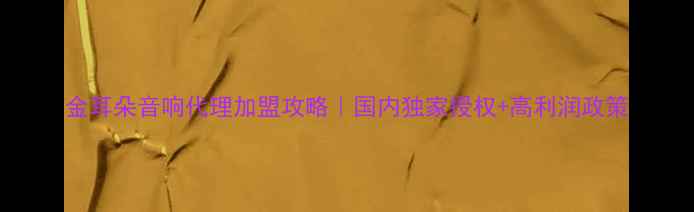 图片 金耳朵音响代理加盟攻略｜国内独家授权+高利润政策