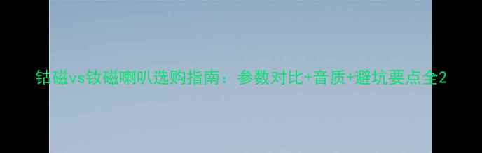 图片 钴磁vs钕磁喇叭选购指南：参数对比+音质+避坑要点全2