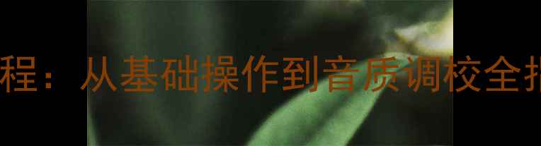 图片 铃木雨燕音响使用教程：从基础操作到音质调校全指南（附选购攻略）1