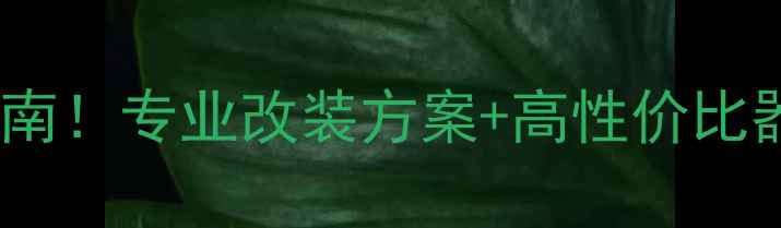 图片 镇雄汽车音响改装避坑指南！专业改装方案+高性价比器材推荐（附真实案例）1