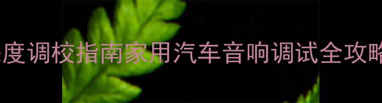 图片 阿尔派低音功放深度调校指南家用汽车音响调试全攻略（附实测数据）2