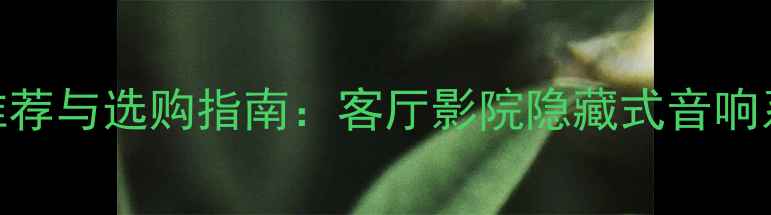 图片 隐藏音箱品牌推荐与选购指南：客厅影院隐藏式音响系统TOP10深度2