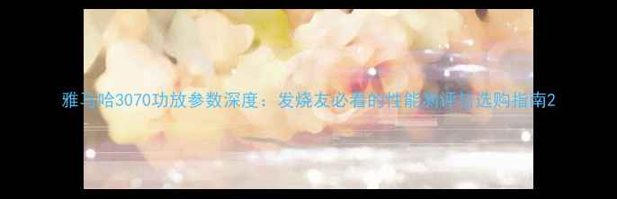 图片 雅马哈3070功放参数深度：发烧友必看的性能测评与选购指南2