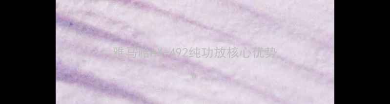 图片 雅马哈AX-492纯功放核心优势