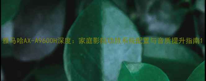 图片 雅马哈AX-A9600H深度：家庭影院功放系统配置与音质提升指南1