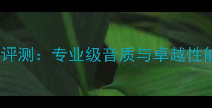 图片 雅马哈FA2000功放深度评测：专业级音质与卓越性能（附详细参数对比）2