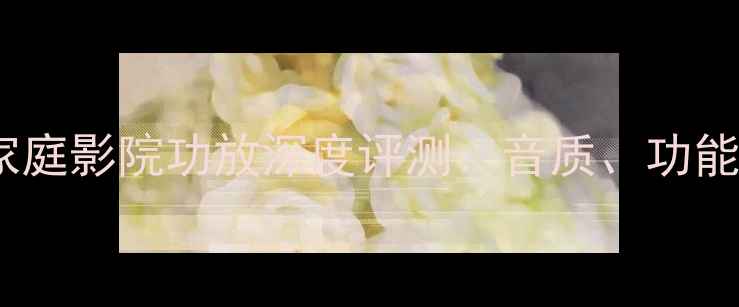 图片 雅马哈RAV110家庭影院功放深度评测：音质、功能全与选购指南2