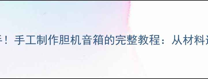 图片 零基础也能上手！手工制作胆机音箱的完整教程：从材料选择到调试技巧