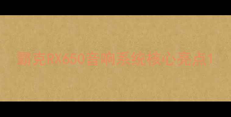 图片 霸克RX650音响系统核心亮点1