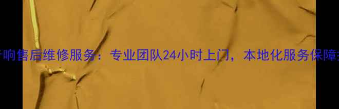 图片 青岛惠威音响售后维修服务：专业团队24小时上门，本地化服务保障扬声器性能