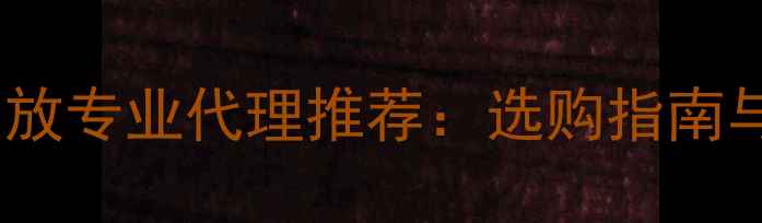 图片 音乐之旅功放专业代理推荐：选购指南与品牌优势2