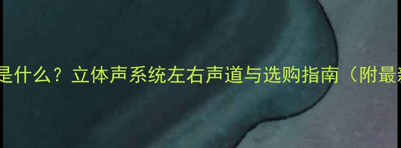 图片 音响left声道是什么？立体声系统左右声道与选购指南（附最新参数对比）2
