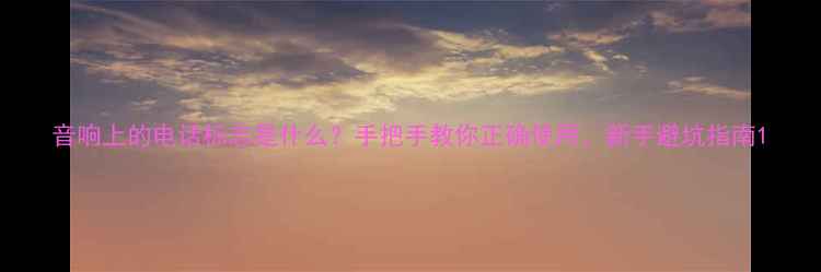 图片 音响上的电话标志是什么？手把手教你正确使用，新手避坑指南1